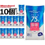 ウェットティッシュ ウエットティッシュ 除菌シート  除菌ウエットティッシュ アルコール  アルコールウェットティッシュ 厚手 10枚 10個 除菌 ポケットサイズ