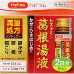 第２類医薬品　ＨＣヒストミン葛根湯液　３０ｍｌ×６