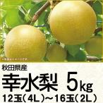  Akita префектура производство . вода груша 5K4L~2L 4L12~2L16 шар (220_ груша 26)