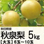 秋田県産 秋泉梨5kg 6玉〜10玉(220_梨25)