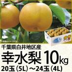 千葉県産 白井地区産幸水梨10kg5L〜4L 20玉〜24玉(220_梨25)