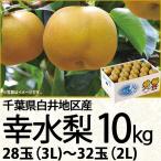 千葉県産 白井地区産幸水梨10kg3L〜2L 28玉〜32玉(220_梨25)