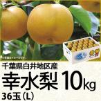 千葉県産 白井地区産幸水梨10kgL 36玉(220_梨25)