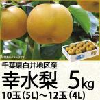 千葉県産 白井地区産幸水梨5kg5L〜4L 10玉〜12玉(220_梨25)