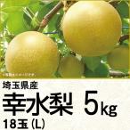 埼玉県産 埼玉県産幸水梨5kgL 18玉(220_梨25)