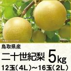  Tottori префектура производство 2 10 век груша 5K4L~2L 12~16 шар (220_ груша 26)