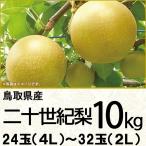  Tottori префектура производство 2 10 век груша 10K4L~2L 24~32 шар (220_ груша 26)
