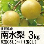 長野県産 南水梨3kg5L〜L 6〜11玉(220_梨25)