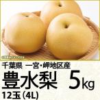 千葉県産 豊水梨5kg4L 12玉(220_梨25)