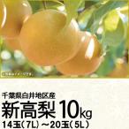 千葉県産 白井地区産新高梨10kg7L〜5L 14玉〜20玉(220_梨25)