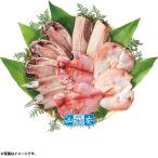 お中元　ギフト　 小田原加工 「山安」干物セット （230_23夏）