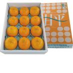 ショッピング甘平 愛媛県産 甘平（かんぺい） （220_25冬）