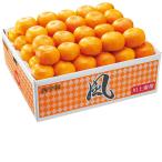  подарок по случаю конца года Ehime префектура производство запад . мир мандарин ( способ ) (220_25 зима )