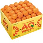 お歳暮　和歌山県産 有田みかん （220_25冬）