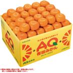 お歳暮　和歌山県産 有田みかん （220_25冬）