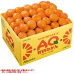  подарок по случаю конца года Wakayama префектура производство маленький шарик Arita мандарин (220_25 зима )