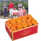  подарок по случаю конца года Wakayama префектура производство Arita . Club мандарин (220_25 зима )