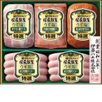  подарок по случаю конца года . глициния ветчина .... легкий соль отделка GMU-36(210_25 зима )