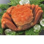  подарок на Bon Festival подарок Hokkaido производство Boyle шерсть ..(230_26 лето )