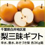 千葉県産 白井地区産の梨 (220_梨25)