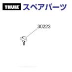 THULE Thule запасной детали Delta болт 753-0745-03 30223 TH1500030223