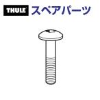 THULE Thule запасной детали болт M 918-0630-11 30820 TH1500030820 ( основной держатель Thule 953)