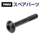 THULE Thule запасной детали болт 50600 TH1500050600 ( задняя дверь крепление крепление для велосипеда Thule BackPac 973)