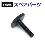 THULE Thule запасной детали 849T болт 54187 TH1500054187