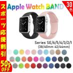 【スポーツ応援割引中】Apple Watch バンド series SE 6 5 4 3 2 1 ベルト スポーツ 44-42- 40-38mm アップルウォッチ バンド アップル アップル部品あ