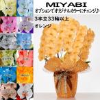 12色展開 MIYABI 胡蝶蘭3本立ち 33輪以上つぼみ込み【送料無料】最短翌々日出荷