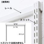 ES-rackパーツ レール 765mm SA-ESR750 壁