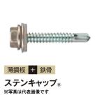 ダンパ ステンキャップ 5×25 パッキン付座金 全ネジ 69525CZ 250本入 若井産業