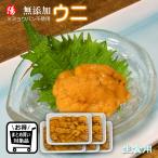 ウニ うに 無添加 5パック 100g×5 生 ミョウバン不使用 海鮮 お祝い ギフト 贈答品 プレゼント お歳暮