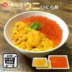 うに いくら 醤油漬け ウニ イクラ 200g/250g チャム 鮭 無添加 海鮮 お祝 ギフト 贈答品 プレゼント 敬老の日