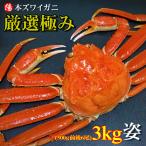 カニ かに 蟹 ズワイガニ 姿 ボイル 500g前後 6尾 3kg 冷凍 海鮮 お祝 ギフト 贈答品 プレゼント 敬老の日 BBQ