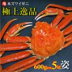 カニ かに 蟹 ズワイガニ 姿 600g前後 5尾 3kg 送料無料 冷凍 海鮮 お祝 ギフト 贈答品 プレゼント 母の日 父の日