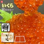 いくら 鮭 イクラ 醤油漬け 北海道産 500g 送料無料 大粒 刺身 海鮮 お祝 ギフト 贈答品 プレゼント 母の日 父の日