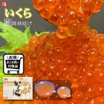 いくら 鮭 イクラ 醤油漬け 北海道産 250g 送料無料 大粒 刺身 海鮮 お祝 ギフト 贈答品 プレゼント 父の日 お中元
