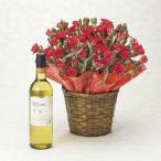 母の日プレゼント花カーネーション鉢植え＋ フロムファーム 甲州