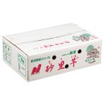 [ Niigata ] песок таро (....)