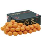 [ Ehime ] запад . мир "солнечный круг" тысяч обе мандарин ( установка сахар раз стандарт 12 раз ) S размер примерно 3kg