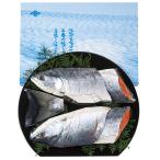  лосось Takumi ... нерка лосось арамаки BA P46