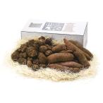 . река сельское хозяйство . Kawagoe клубень & грязь таро KI-DO5 P13