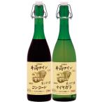 ショッピングワイン ［長野・塩尻］井筒ワイン2025無添加新酒生にごりワイン紅白セット
