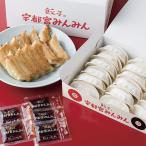 カジュアルギフト　お中元 2026 餃子 ギフト 送料込み 宇都宮みんみん 生餃子 T3314