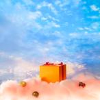 ショッピングチョコ バレンタイン チョコ 2026 ピエール・ルドン プチシャトー