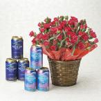 母の日プレゼント花カーネーション鉢植え＋ ザ・プレミアム・モルツ 2種 350ml 6本