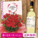 母の日プレゼント花カーネーション鉢植え＋ フロムファーム 甲州