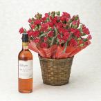 母の日プレゼント花カーネーション鉢植え＋ フロムファーム マスカット・ベーリーＡ