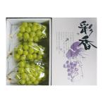 ［山梨］シャインマスカット